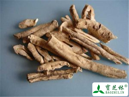 丹皮的功效与作用及禁忌
