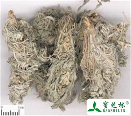 茵陈的功效与作用及禁忌