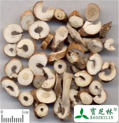 牡丹皮的功效与作用及禁忌