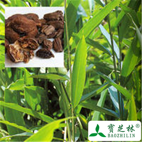 草果的功效与作用及禁忌