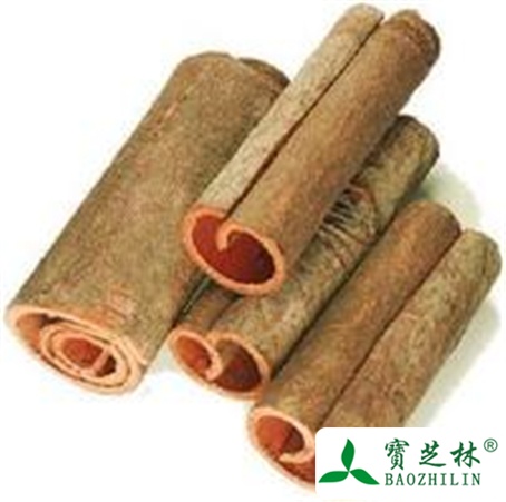 桂皮的功效与作用及禁忌