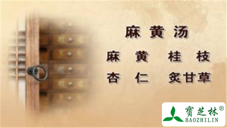 麻黄汤的功效与作用及禁忌
