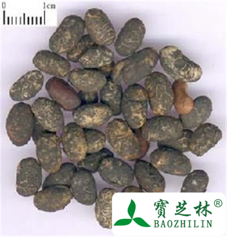 淡豆豉的功效与作用及禁忌