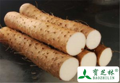 淮山的功效与作用及禁忌