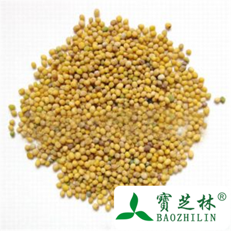 白芥子的功效与作用及禁忌