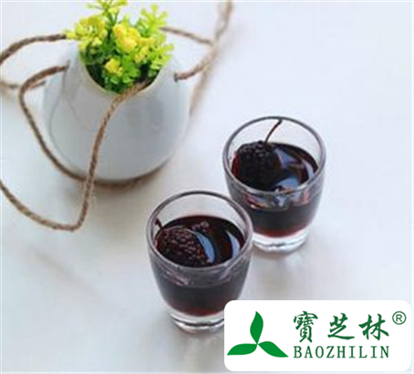 桑葚酒的功效与作用及禁忌