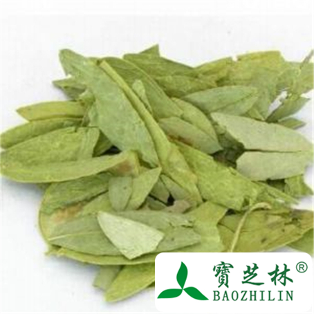 番泻叶的功效与作用及禁忌