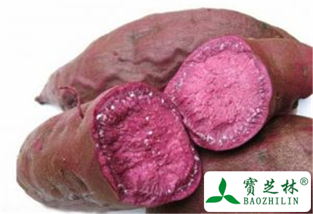 紫薯的功效与作用及禁忌