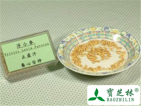 浮小麦的功效与作用及禁忌