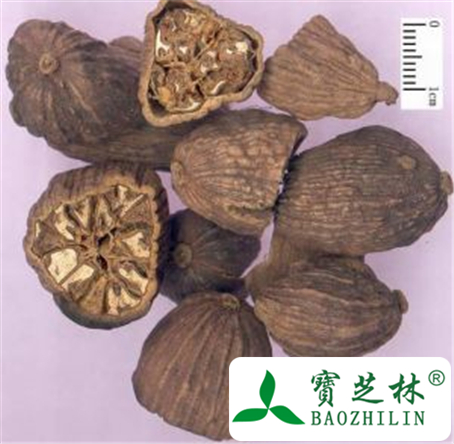 center>炮制成品:草果仁,炒草果仁,姜草果仁,煨草果仁.