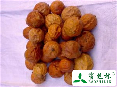 瓜蒌的功效与作用及禁忌