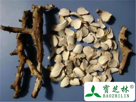 穿山龙的功效与作用及禁忌