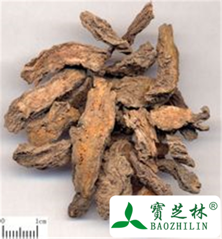 大戟的功效与作用及禁忌