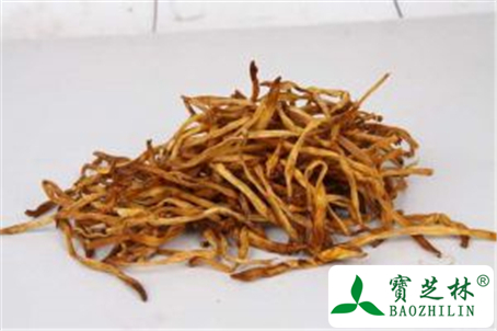 黄花菜的功效与作用及禁忌