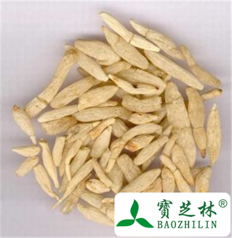 麦冬泡水的功效与作用及禁忌