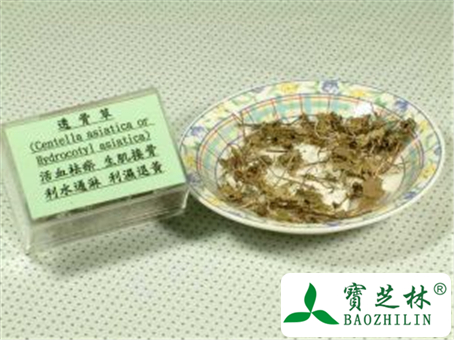透骨草的功效与作用及禁忌