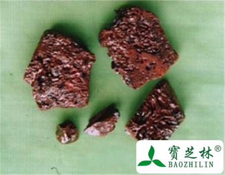 血竭的功效与作用及禁忌