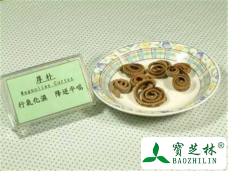 厚朴的功效与作用及禁忌