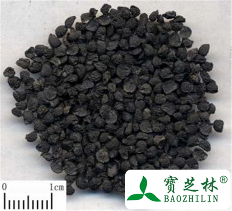 韭菜子的功效与作用及禁忌