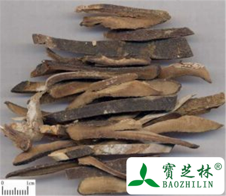 化橘红的功效与作用及禁忌