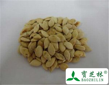 冬瓜子的功效与作用及禁忌