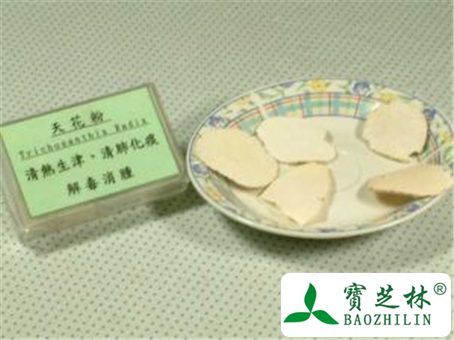 天花粉的功效与作用及禁忌