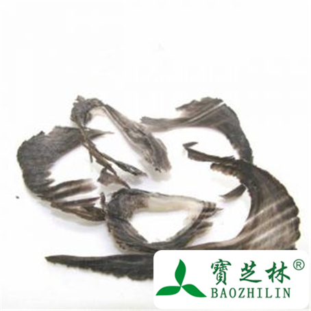水牛角的功效与作用及禁忌