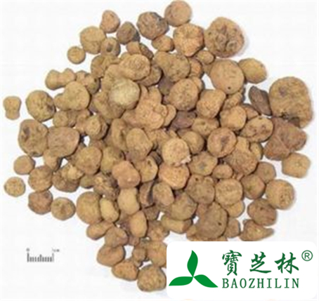延胡索的功效与作用及禁忌