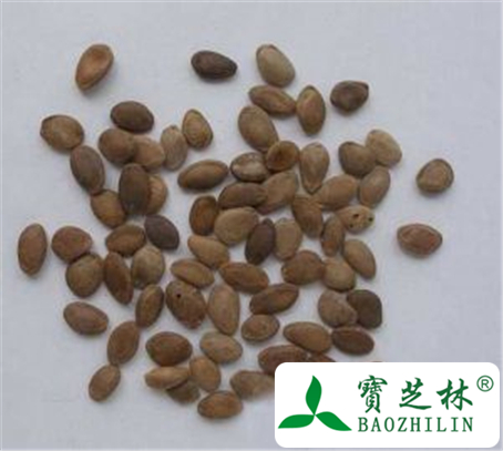 瓜蒌子的功效与作用及禁忌