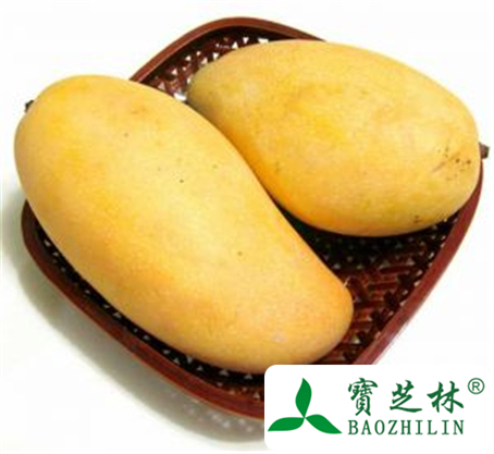 芒果的功效与作用及禁忌