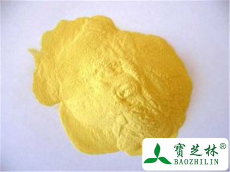 松花粉的功效与作用及禁忌