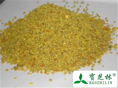 蜂花粉的功效与作用及禁忌