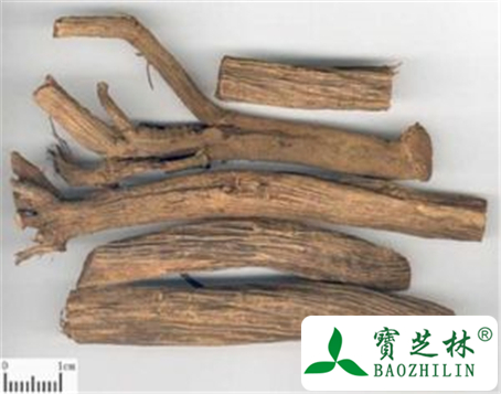 川牛膝的功效与作用及禁忌