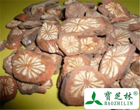 大血藤的功效与作用及禁忌