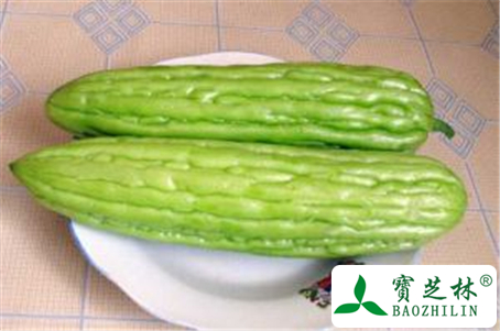 苦瓜的功效与作用及禁忌