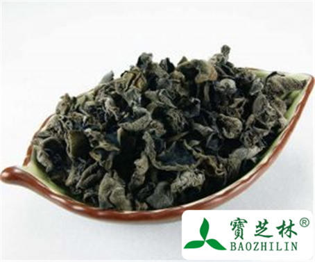 黑木耳的功效与作用及禁忌