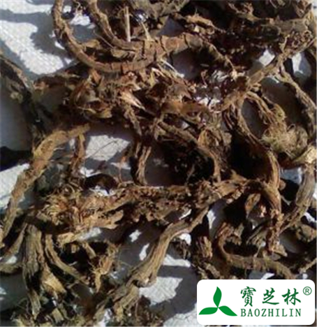 石菖蒲的功效与作用及禁忌