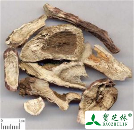 赤芍的功效与作用及禁忌