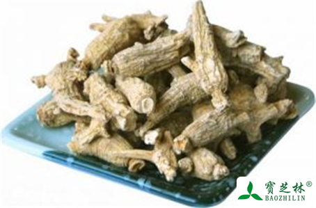 花旗参的功效与作用及禁忌