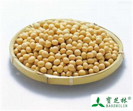 黄豆的功效与作用及禁忌