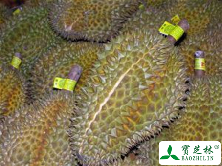 榴莲的功效与作用及禁忌