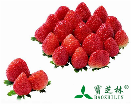 草莓图片_中药草莓图片大全