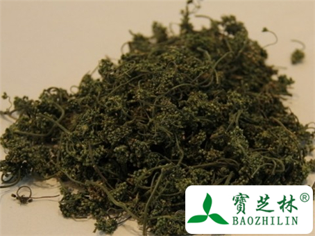 三七花的副作用和不良反应及使用禁忌