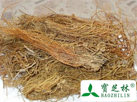 龙胆草的副作用和不良反应及使用禁忌