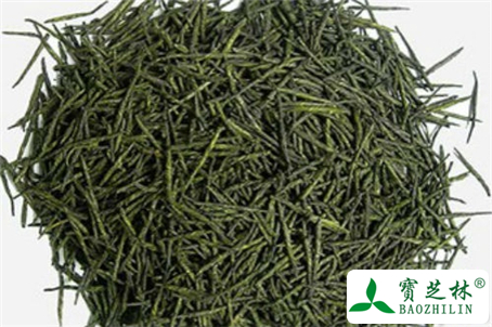 桑叶侧柏叶苦丁茶