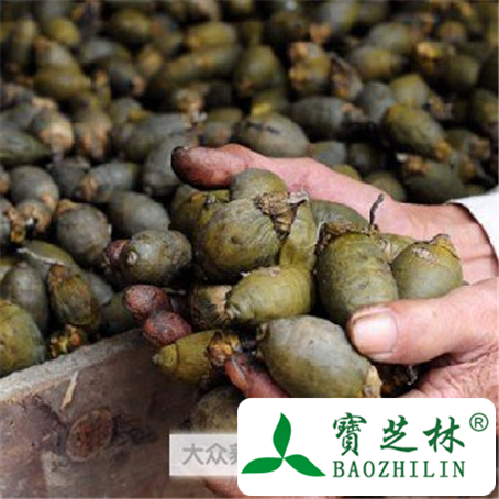 中医角度看槟榔的作用
