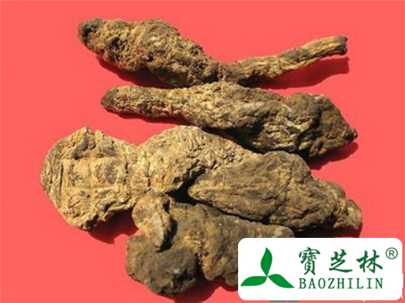 糖尿病人能吃生地黄吗