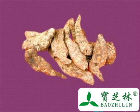 经期能吃生地黄吗