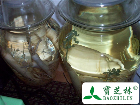 如何自制补血止血当归地黄酒?
