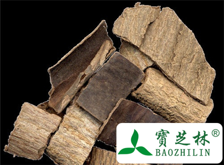 杜仲茶的功效与作用及食用方法